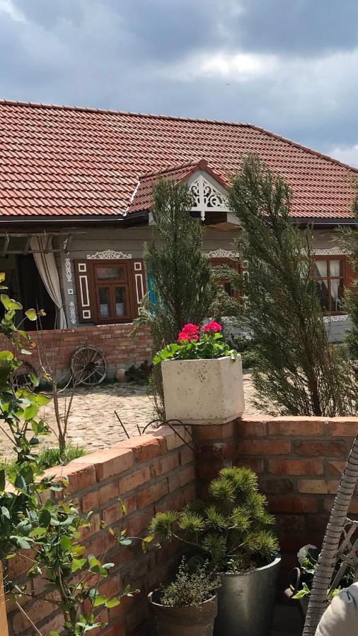 Zagroda W Puszczy Białowieża Exterior foto