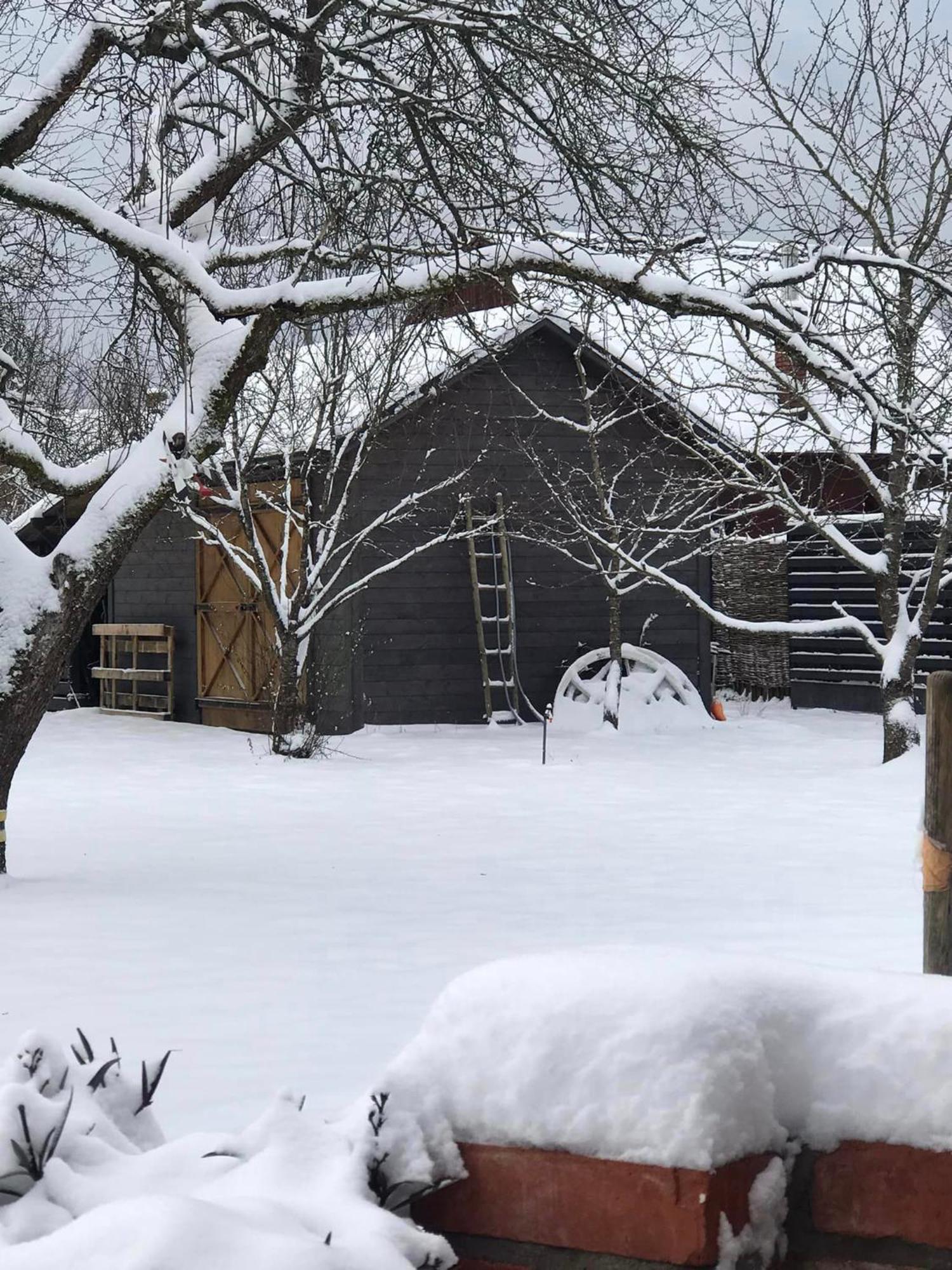 Zagroda W Puszczy Białowieża Exterior foto